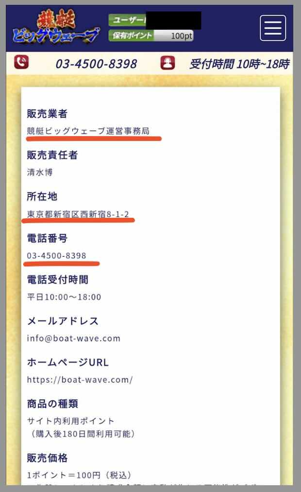 競艇ビッグウェーブという競艇予想サイトの運営会社情報